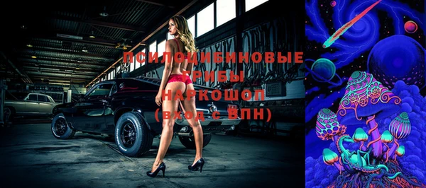 spice Белокуриха