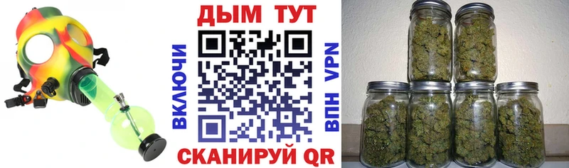 Канабис SATIVA & INDICA  продажа наркотиков  Славгород 